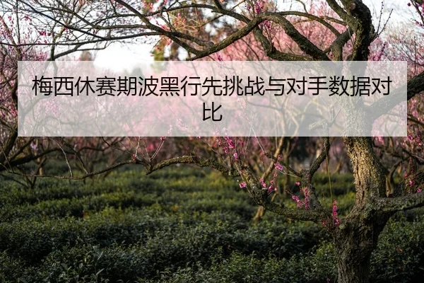 梅西休赛期波黑行先挑战与对手数据对比 | biwei