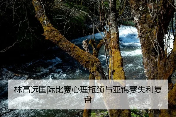 林高远国际比赛心理瓶颈与亚锦赛失利复盘 | biwei