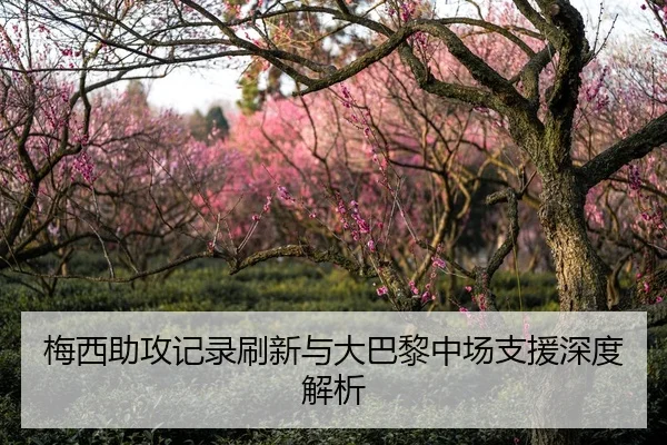 梅西助攻记录刷新与大巴黎中场支援深度解析 | biwei